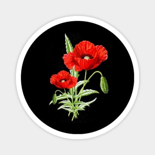 Vintage Red Poppy Flower Cute Gardener Botanical Gardening Magnet